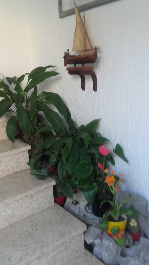 Apartment Bojana Novi Vinodolski Zewnętrze zdjęcie