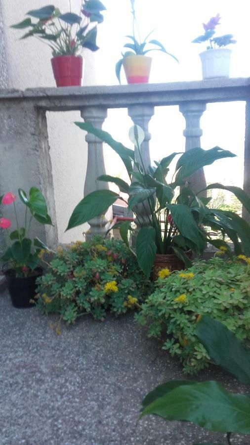 Apartment Bojana Novi Vinodolski Zewnętrze zdjęcie